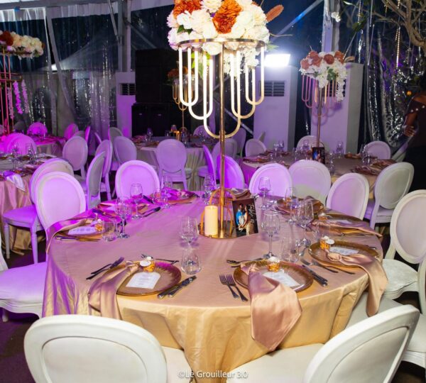 Mariage VIP dans les Jardins du Sofitel Hôtel Ivoire - Ayuf Holding